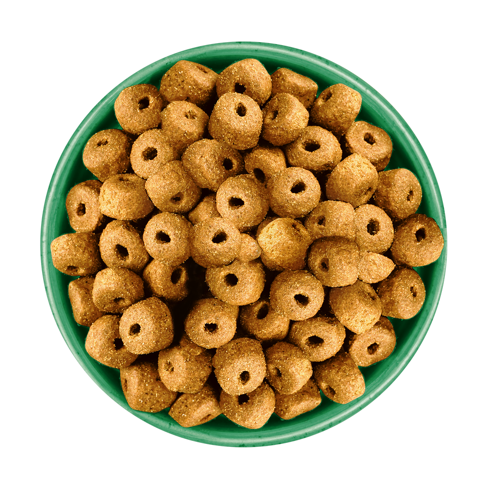 Adult Chicken & Rice Large Breed Dry Dog Food 15kg