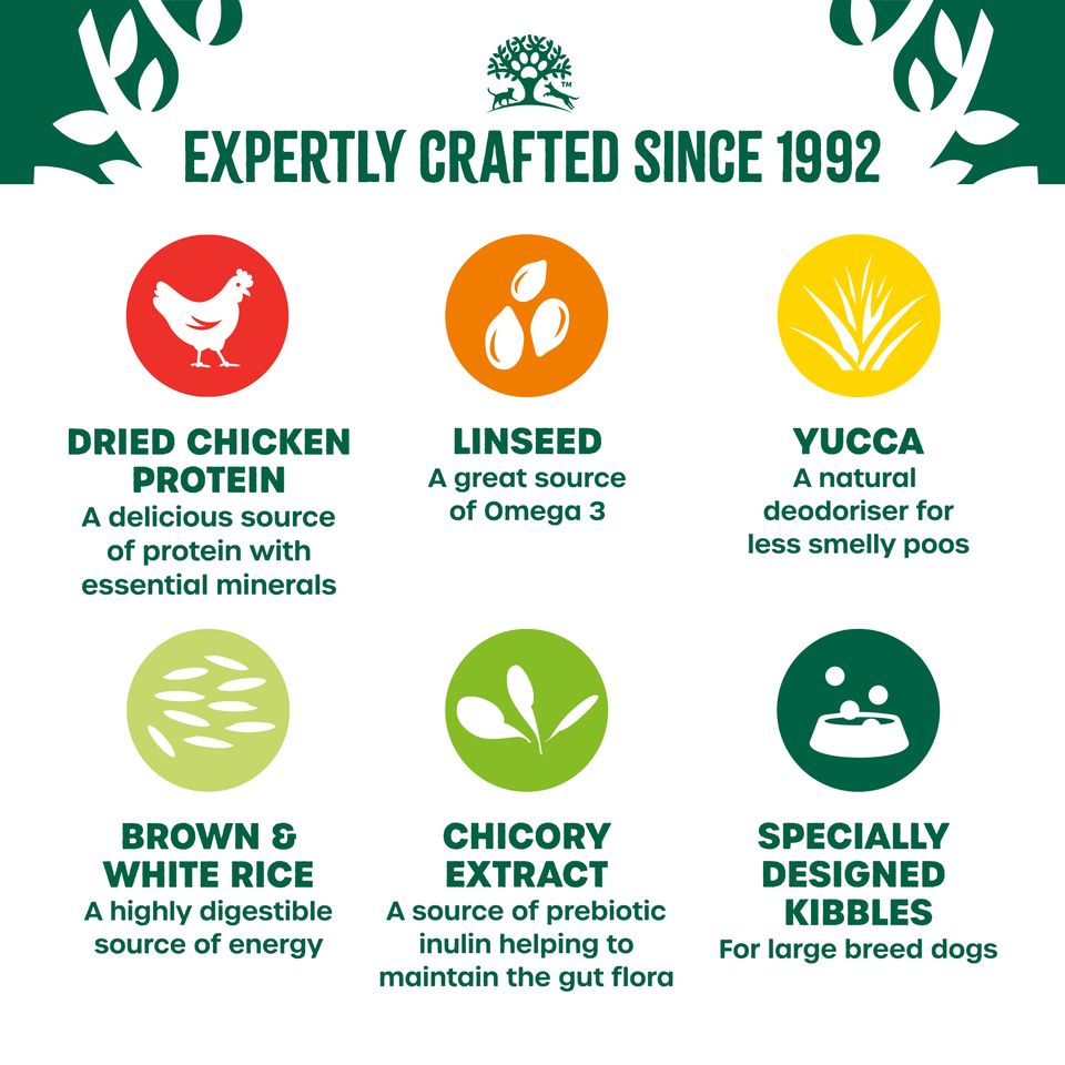 Adult Chicken & Rice Large Breed Dry Dog Food 15kg