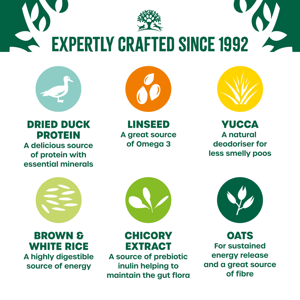 Adult Duck & Rice Dry Dog Food 12kg