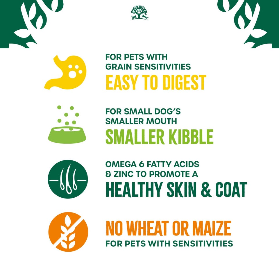 Adult Turkey & Veg Grain Free Small Breed Dry Dog Food 4.5kg