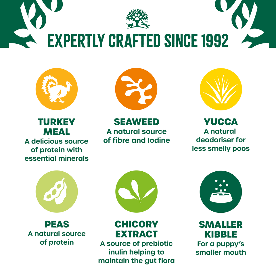 Puppy/Junior Turkey & Veg Grain Free Dry Dog Food 4.5kg