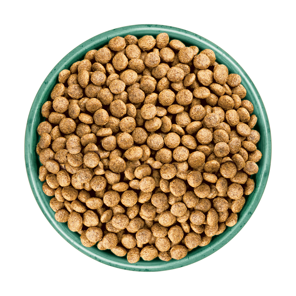 Puppy/Junior Turkey & Veg Grain Free Dry Dog Food 4.5kg