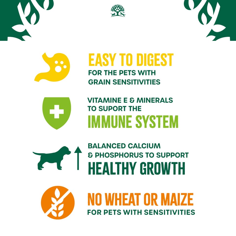 Puppy/Junior Turkey & Veg Grain Free Dry Dog Food 4.5kg