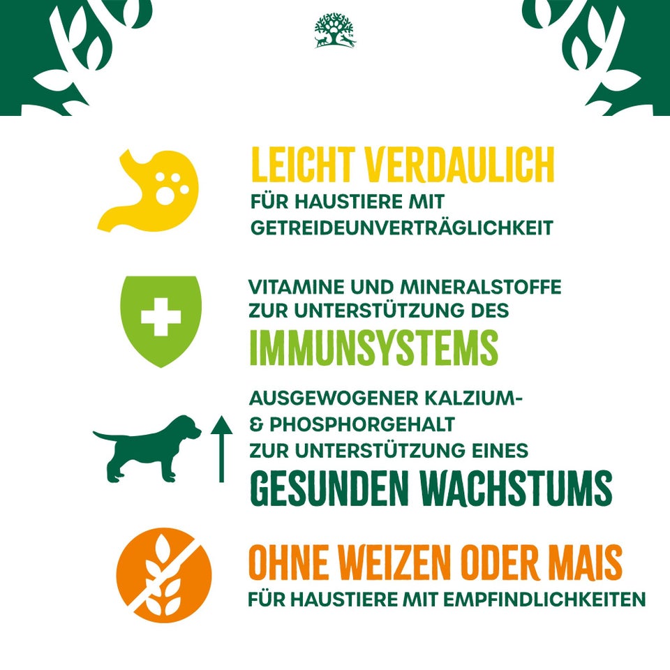 Welpe/Junior Hundetrockenfutter ohne Getreide Truthahn & Gemüse 1,5kg