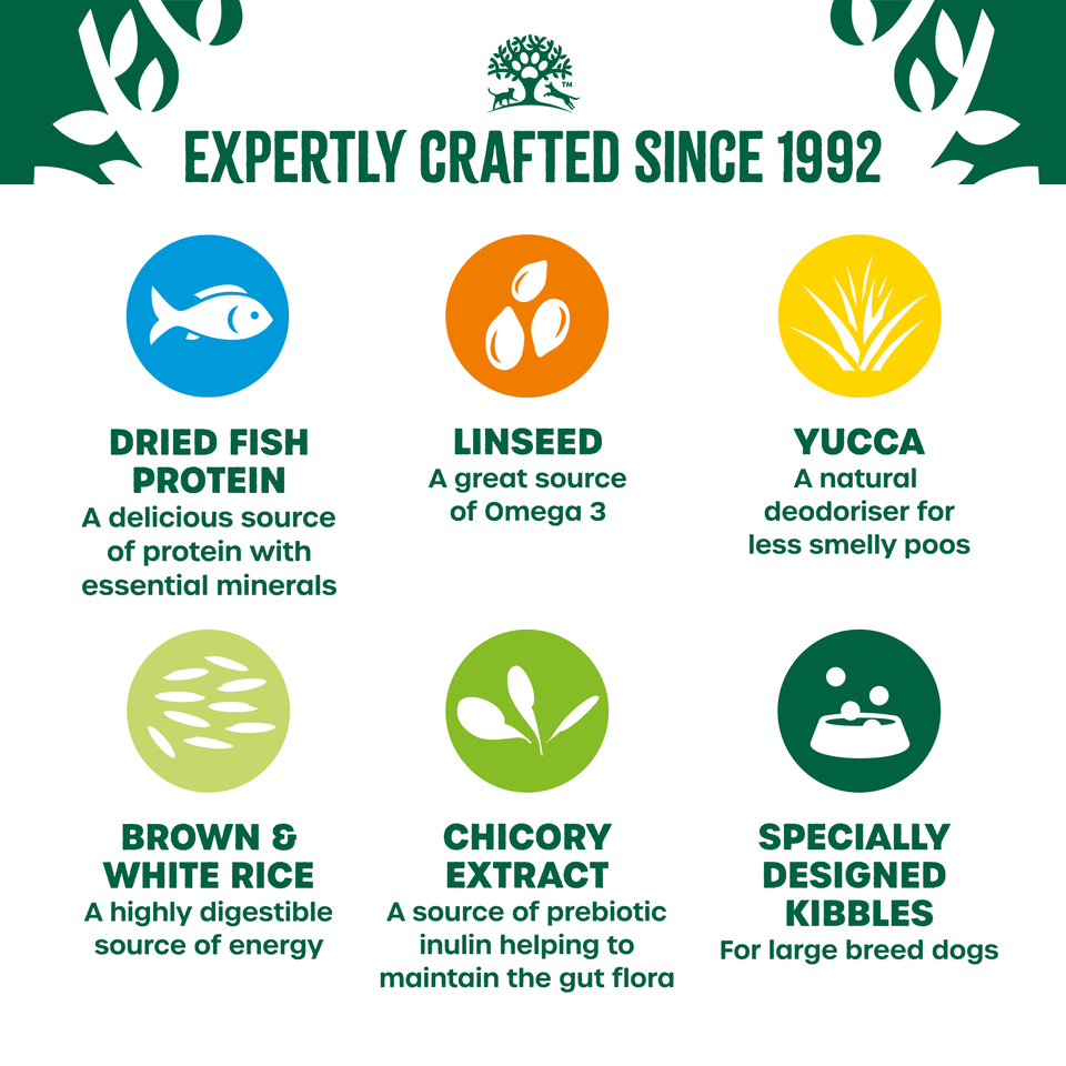 Adult Fish & Rice Large Breed Dry Dog Food 15kg