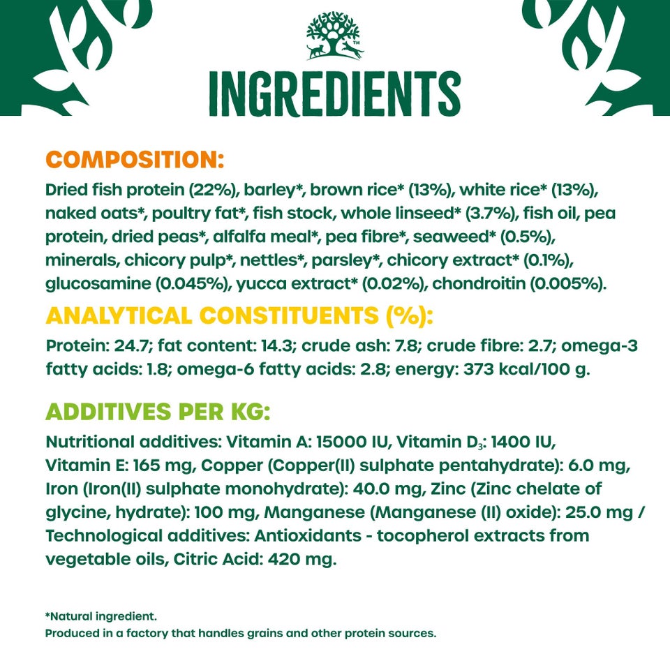 Adult Fish & Rice Large Breed Dry Dog Food 15kg