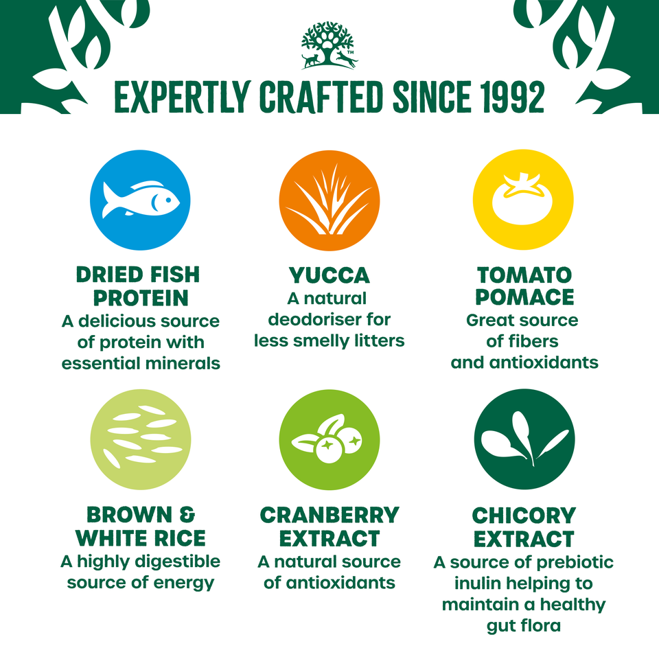 Adult Fish & Rice Dry Cat Food 4.5kg