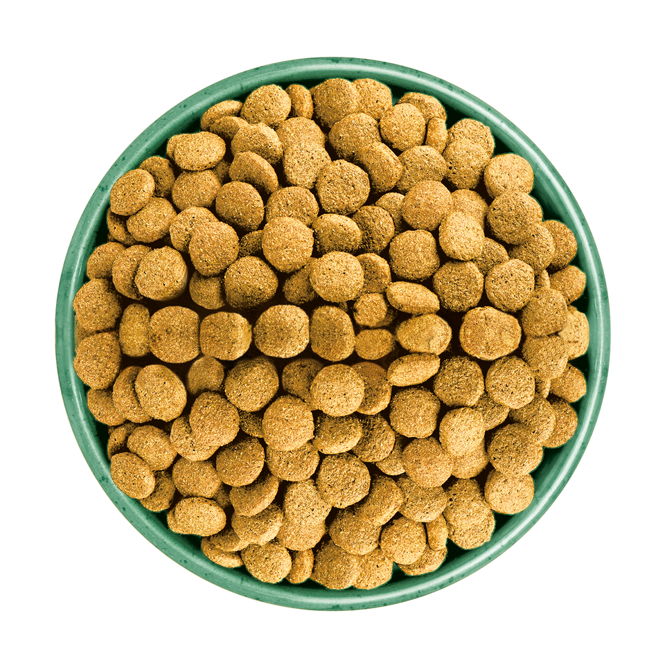 Adult Lamb & Rice Light Dry Dog Food 12kg