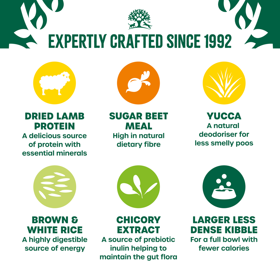 Adult Lamb & Rice Light Dry Dog Food 12kg