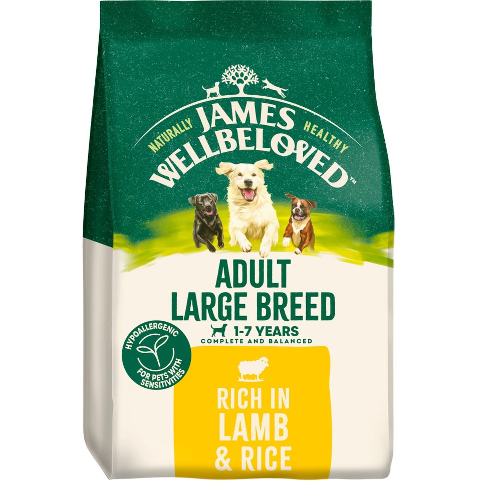 Adult Lamb & Rice Large Breed Dry Dog Food 10kg