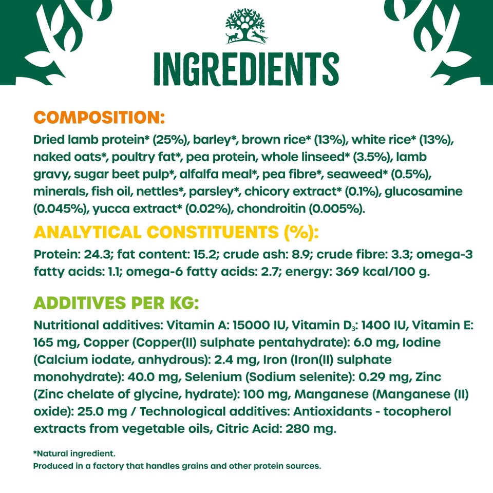 Adult Lamb & Rice Large Breed Dry Dog Food 10kg