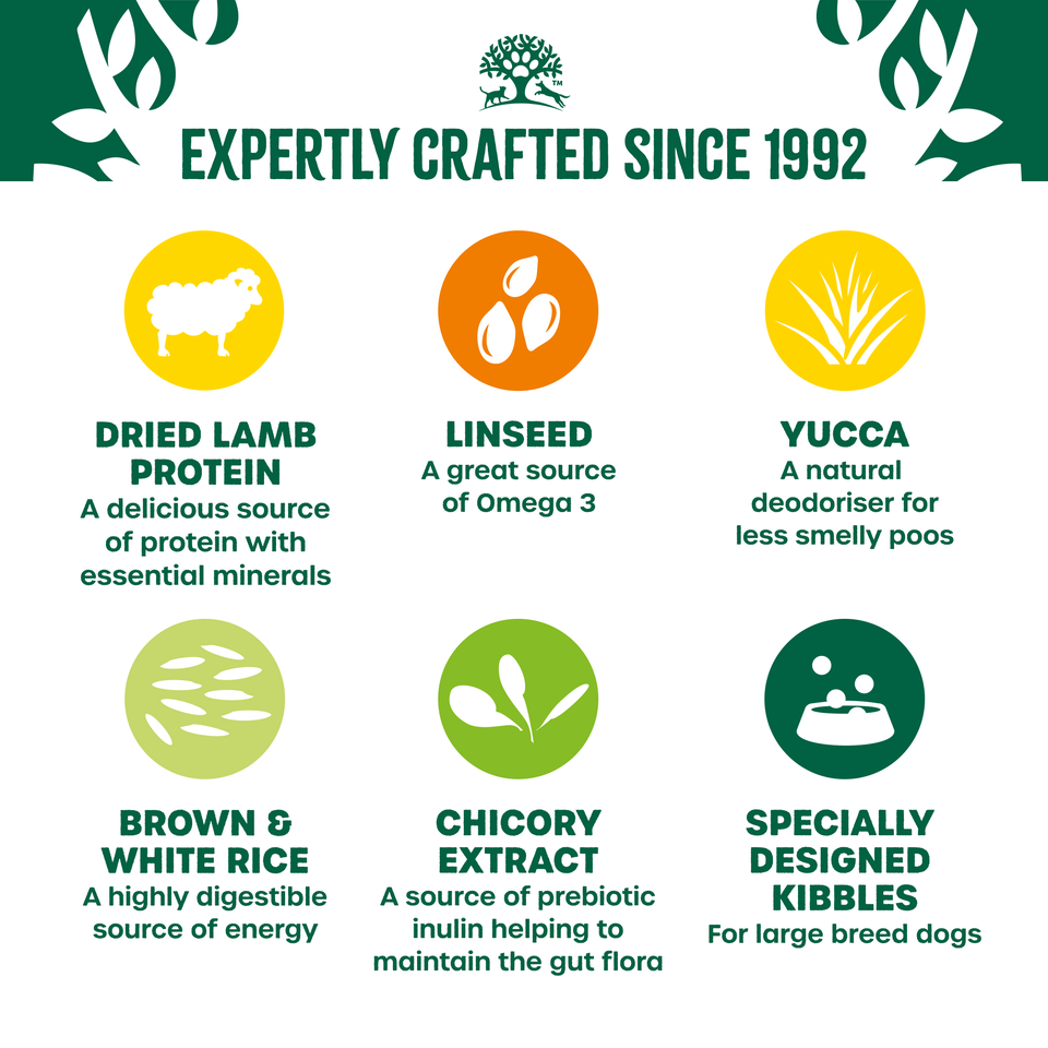 Adult Lamb & Rice Large Breed Dry Dog Food 10kg