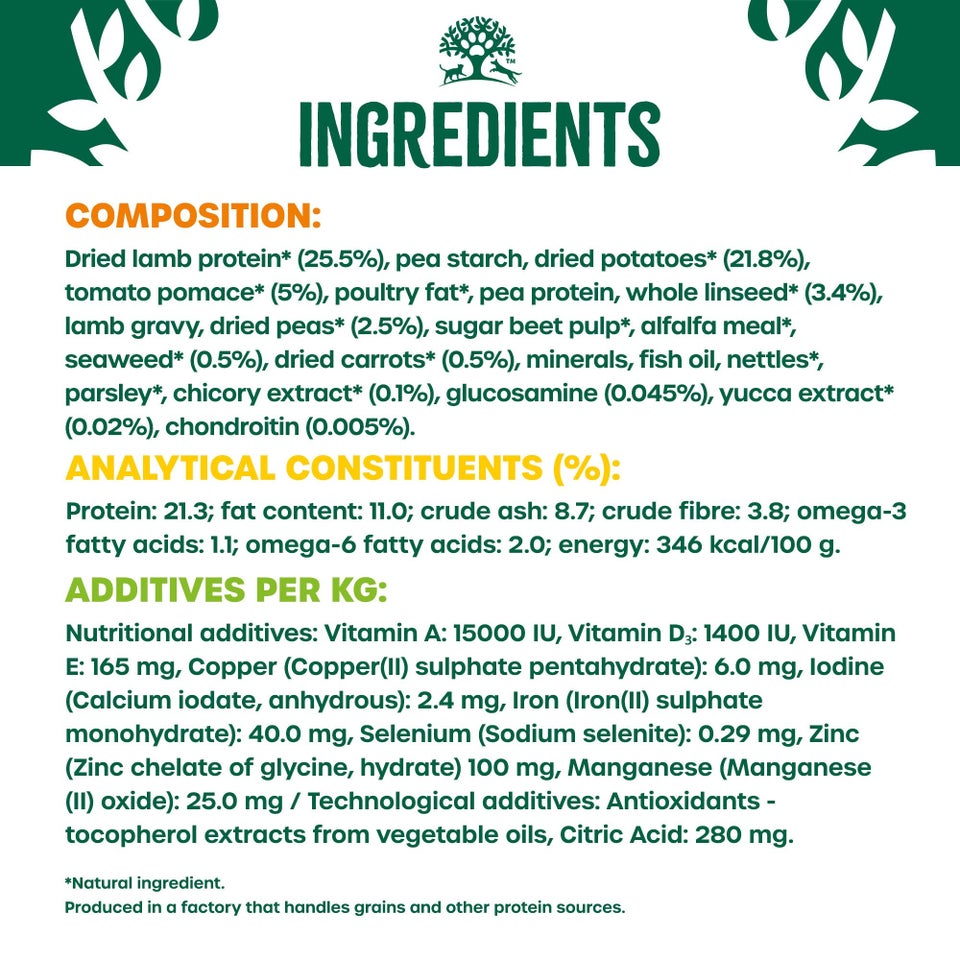 Adult Lamb & Veg Grain Free Dry Dog Food 10kg