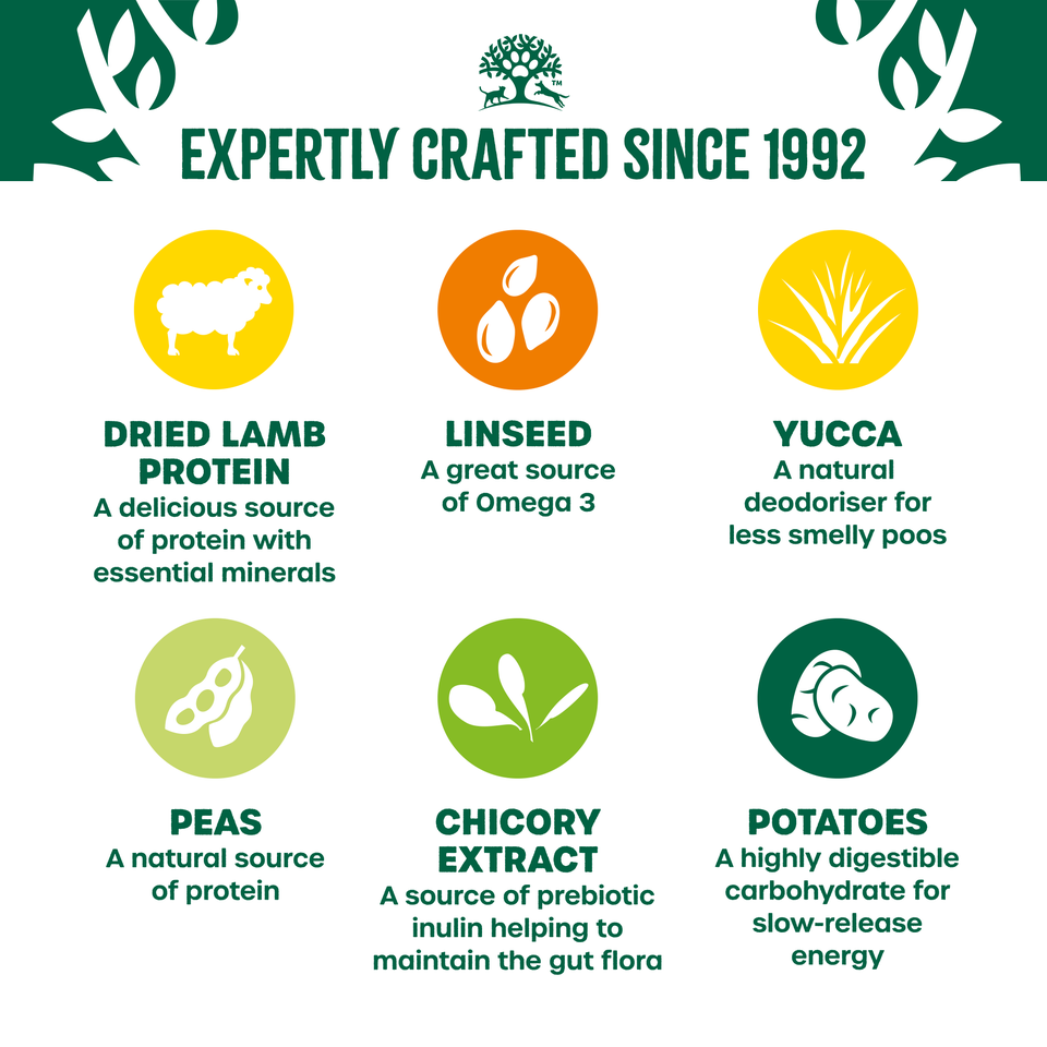 Adult Lamb & Veg Grain Free Dry Dog Food 10kg