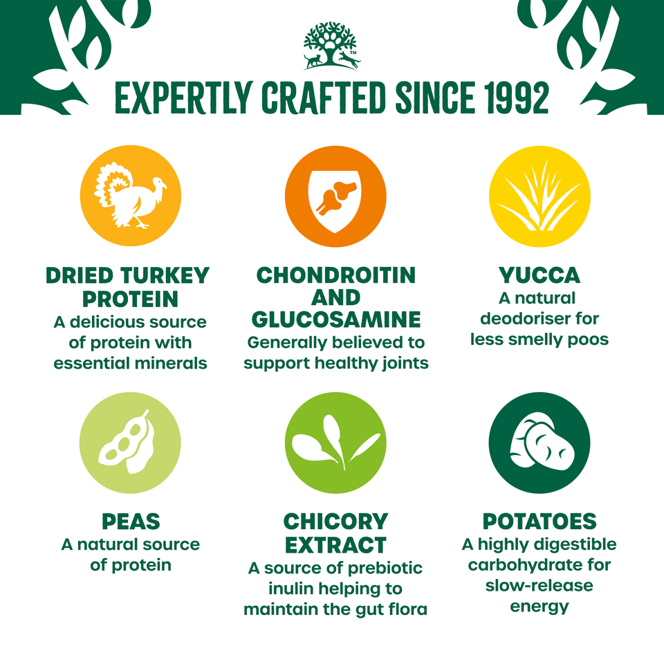 Senior Grain Free Dry Dog Food Turkey 10kg