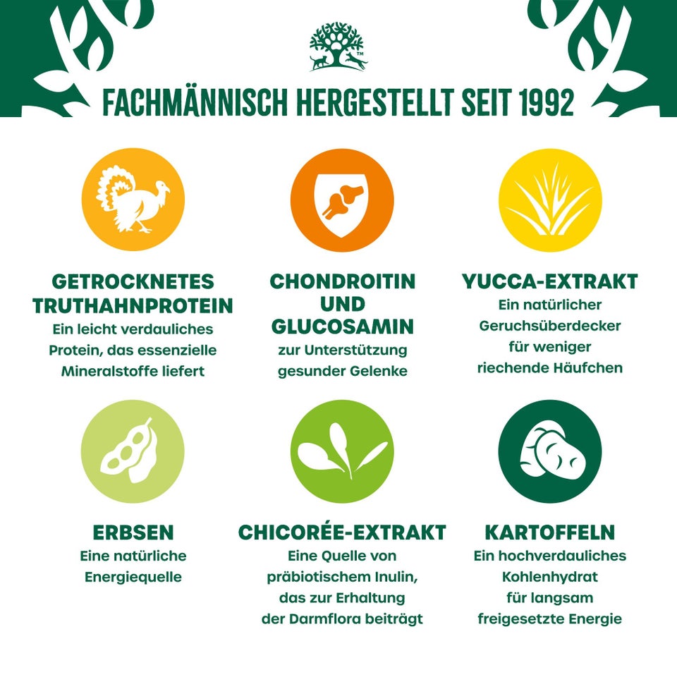 Senior Hundetrockenfutter ohne Getreide Truthahn & Gemüse 10kg