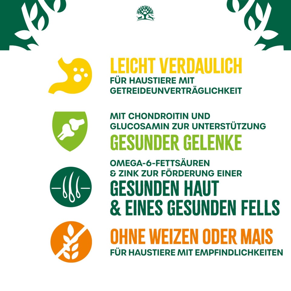 Senior Hundetrockenfutter ohne Getreide Truthahn & Gemüse 10kg