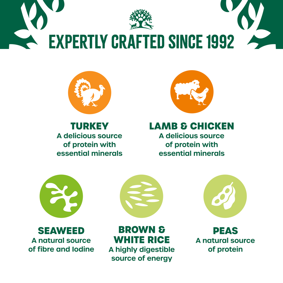 Adult Wet Dog Food in Gravy Variety Pack Pouches 84 pouches