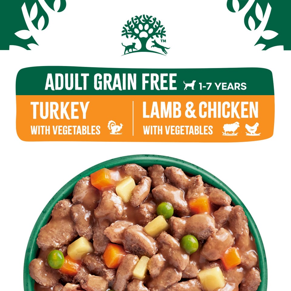 Adult Wet Dog Food in Gravy Grain Free Variety Pack Pouches 84 pouches