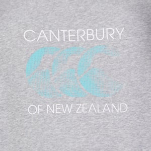 MENS RAKAIA HOODIE GREY