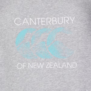 MENS RAKAIA HOODIE GREY