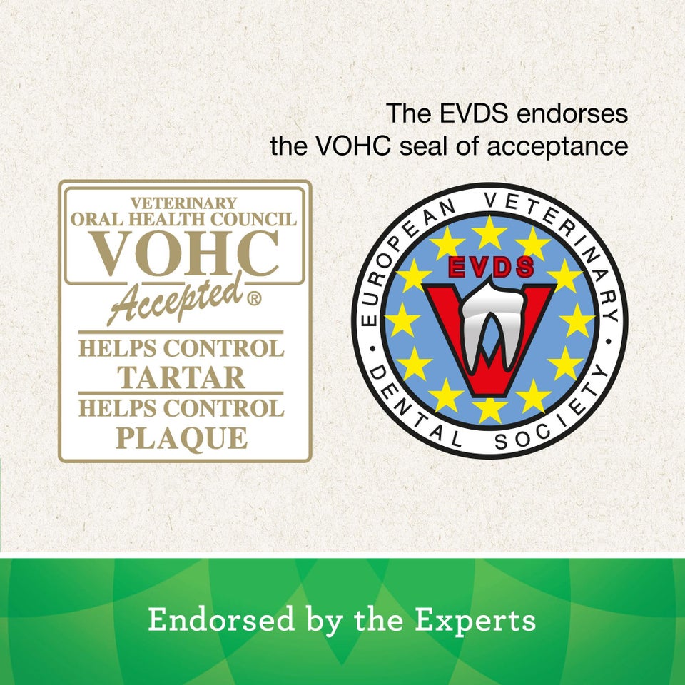 Greenies Medium Dogs Treat Original