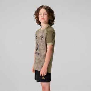 Junior Unisex Ireland Training Pro Jersey Green