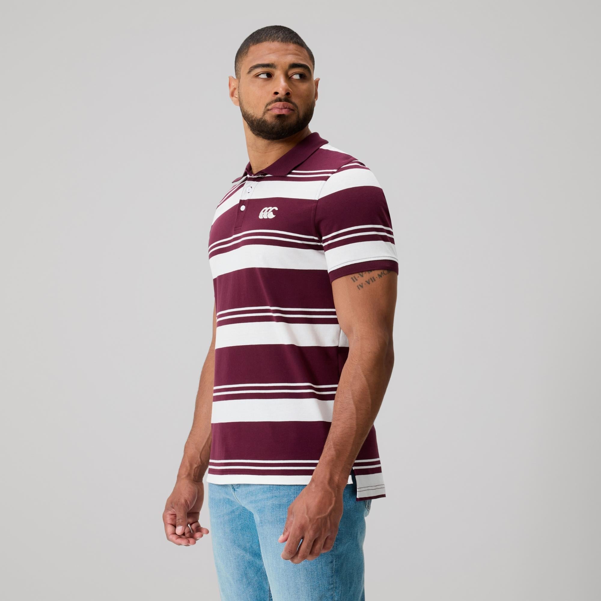 MENS FUNDAMENTALS ENGINEERED STRIPE POLO FIG | Canterbury Australia