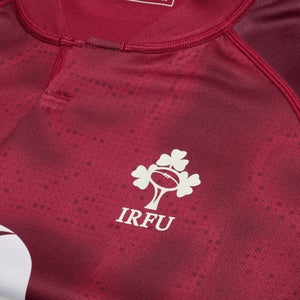 Mens Ireland Training Pro Jersey Purple