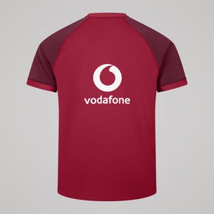 Mens Ireland Training Pro Jersey Purple