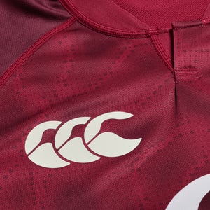 Mens Ireland Training Pro Jersey Purple