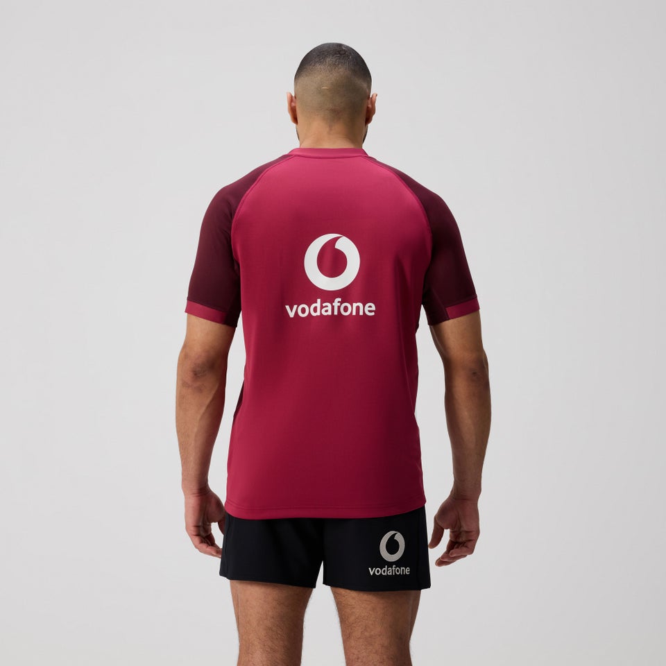 Mens Ireland Training Pro Jersey Purple