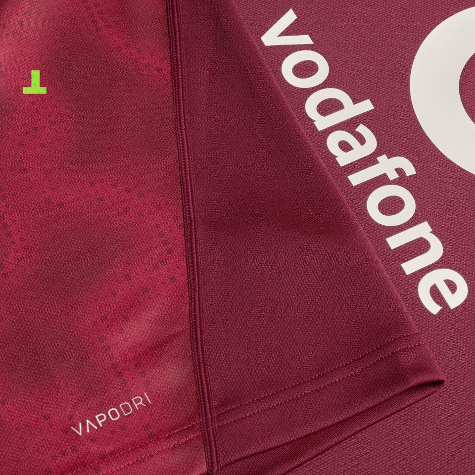 Mens Ireland Training Pro Jersey Purple