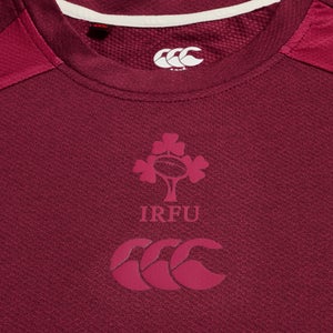 CANTERBURY IRE ELITE TRAINING TEE AM PURPLE/PINK