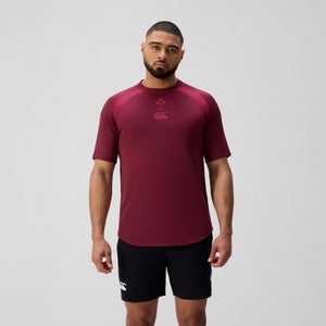 CANTERBURY IRE ELITE TRAINING TEE AM PURPLE/PINK