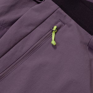 Men's MTN Guide Alpine Pant - Purple