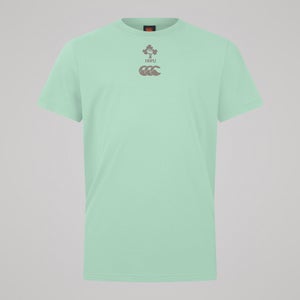 Mens Ireland Team Cotton Tee Green