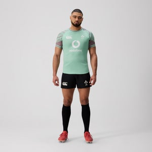 CANTERBURY IRE TNG TEST JERSEY (TRNG) AM GREEN/GREY - L