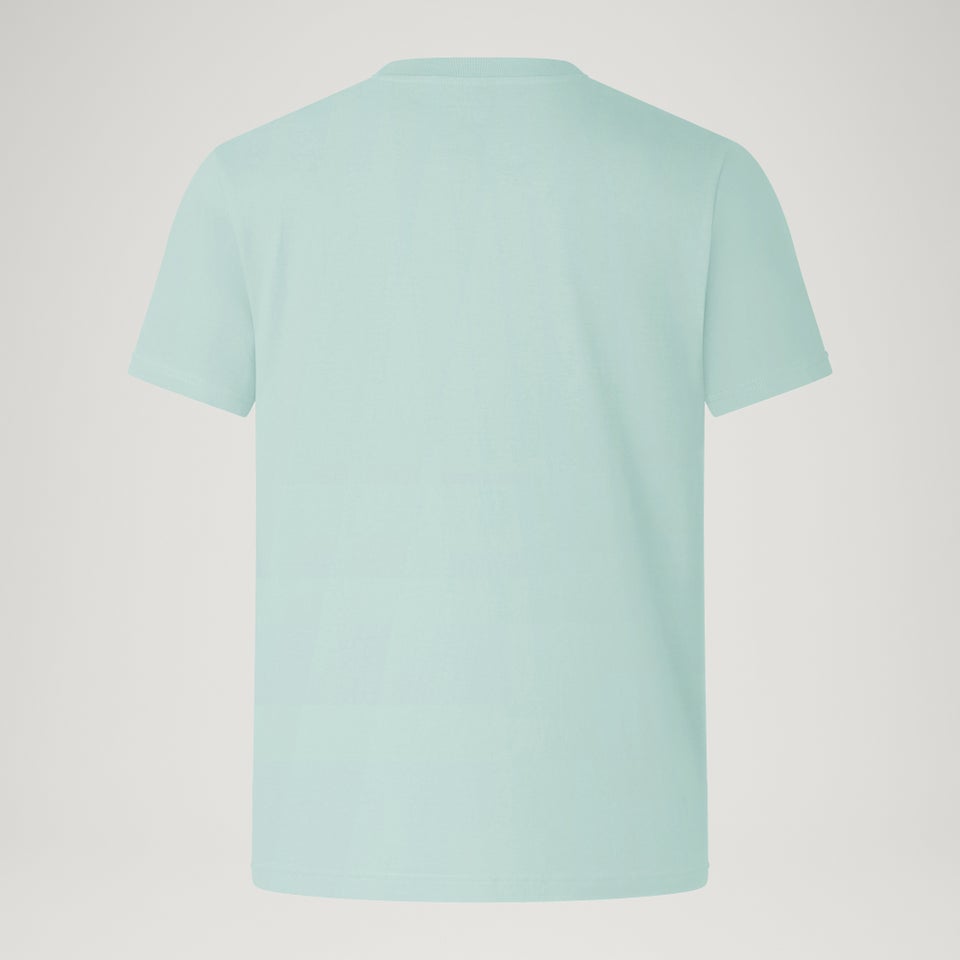 Ltd Heritage Icon Graphic Tee - Sage Green