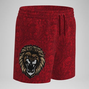 Boys British & Irish Lions 13" Swim Shorts Red
