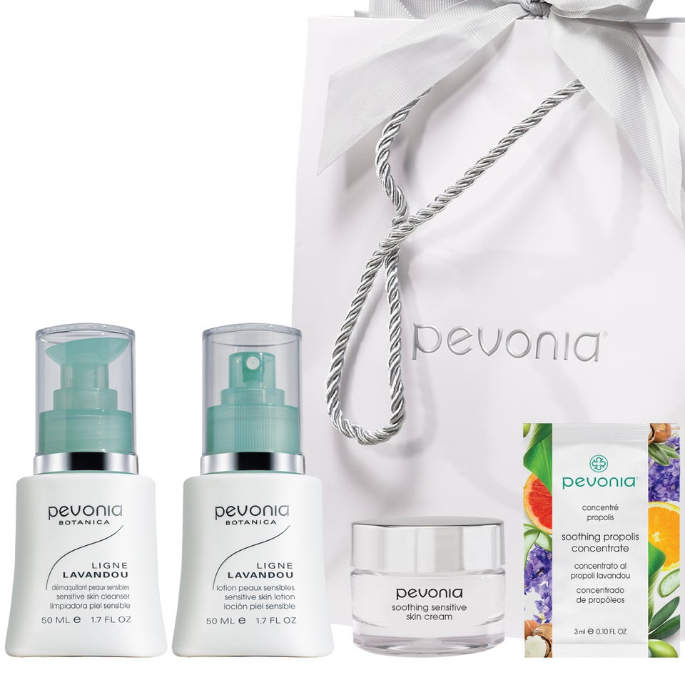 Soothing Botanicals Trial Holiday Skincare Kit