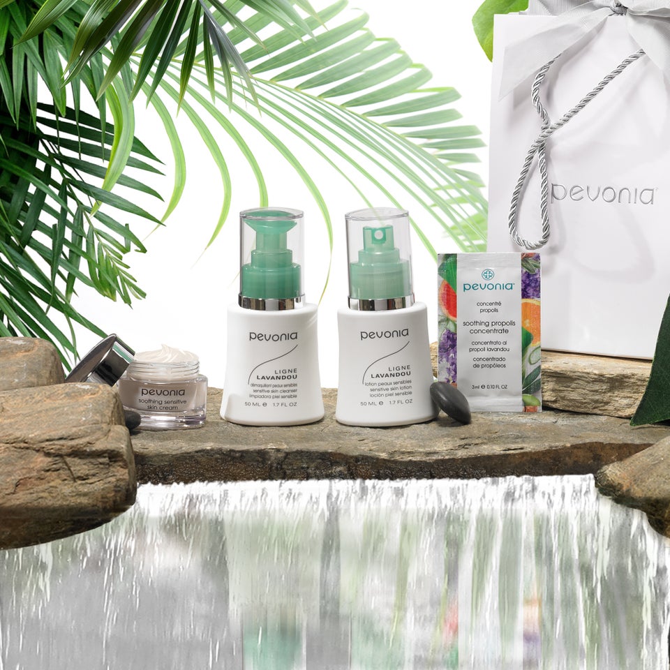 Soothing Botanicals Trial Holiday Skincare Kit