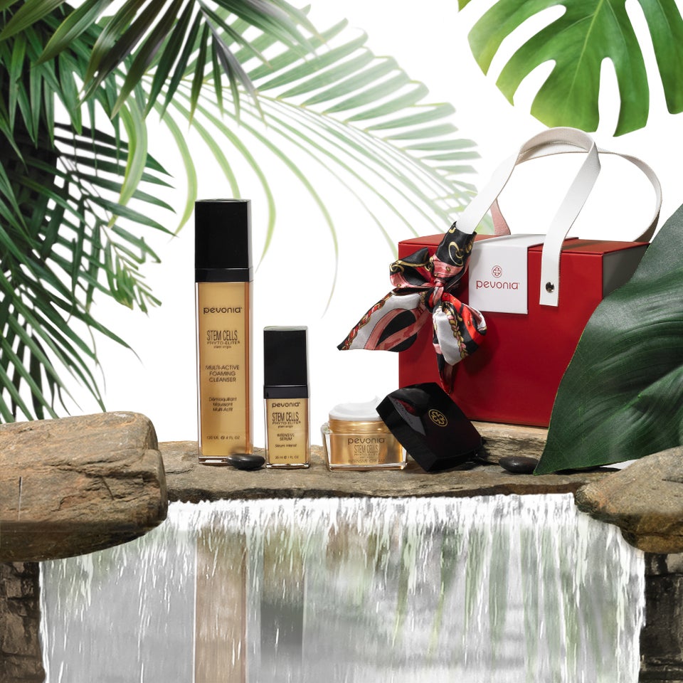 Stem Cells Phyto-Elite Regimen Holiday Gift Set