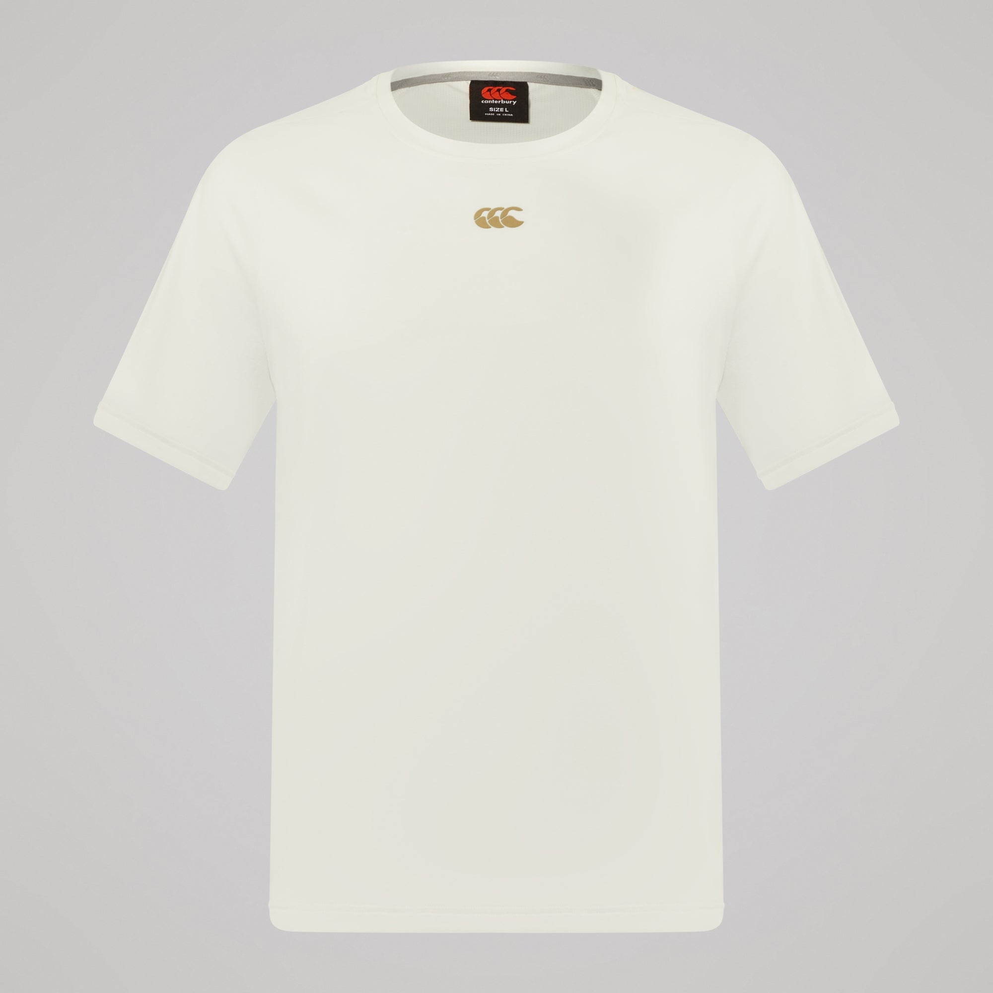 Mens Everest Dart Tech Tee White | Canterbury