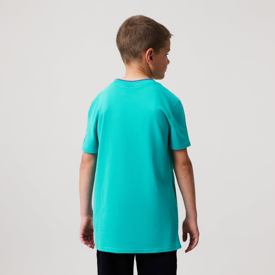 Junior Unisex Ireland Team Cotton Tee Blue
