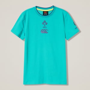 Junior Unisex Ireland Team Cotton Tee Blue