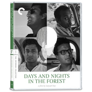 Days And Nights In The Forest The