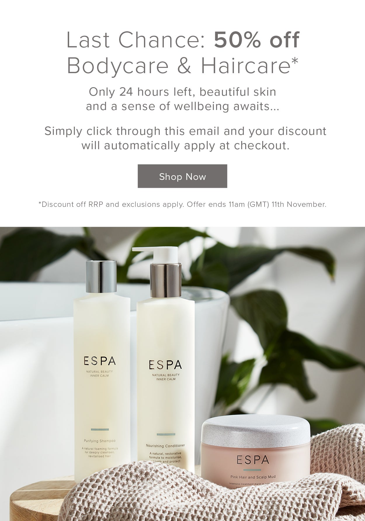 last chance 50 percent off haircare