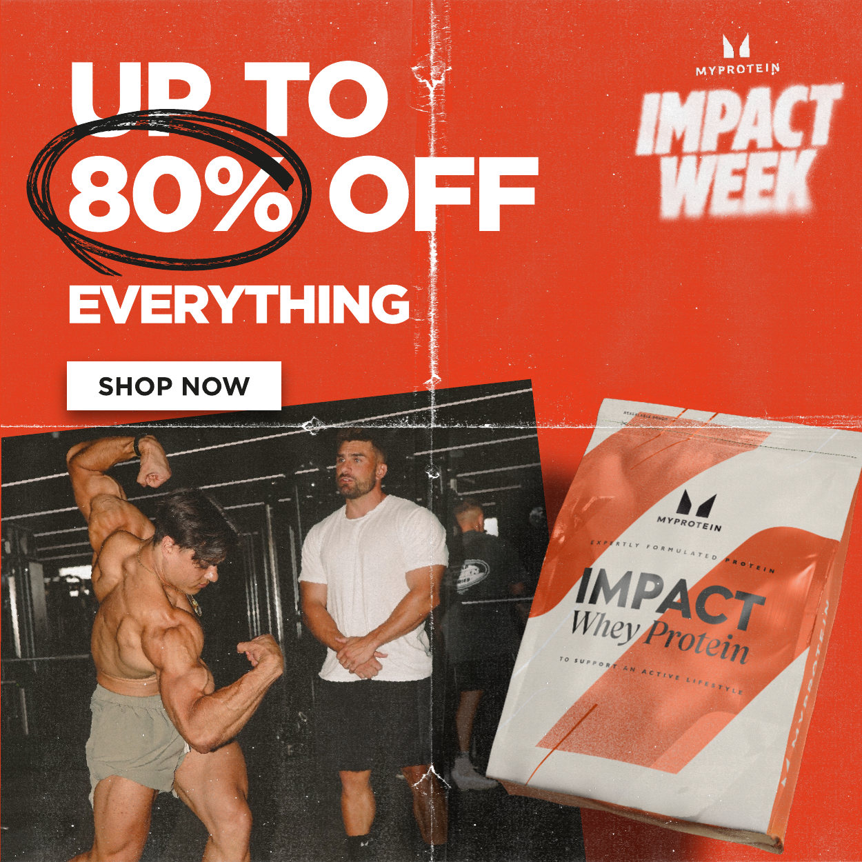 Up to 80% off everything