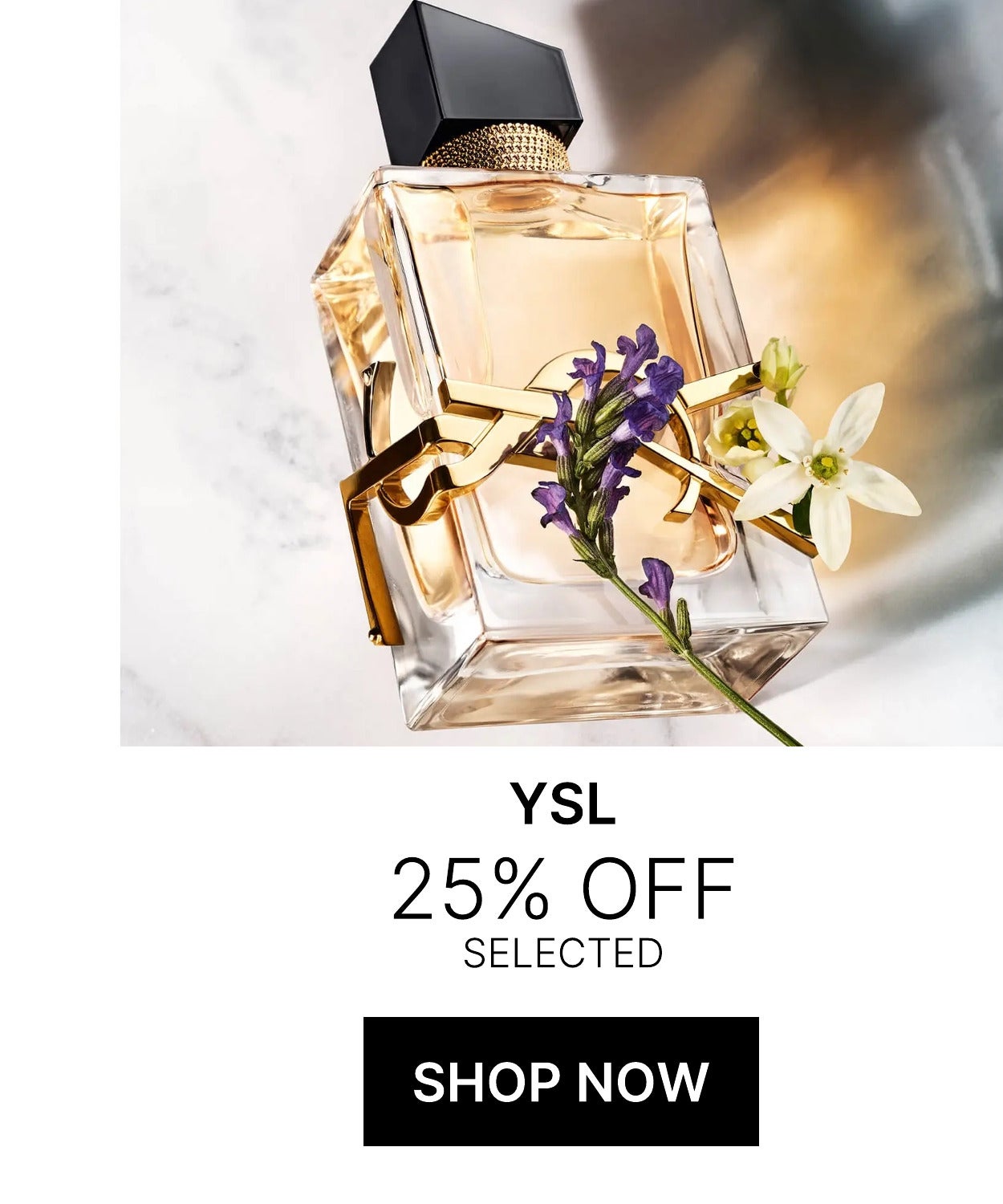 YSL